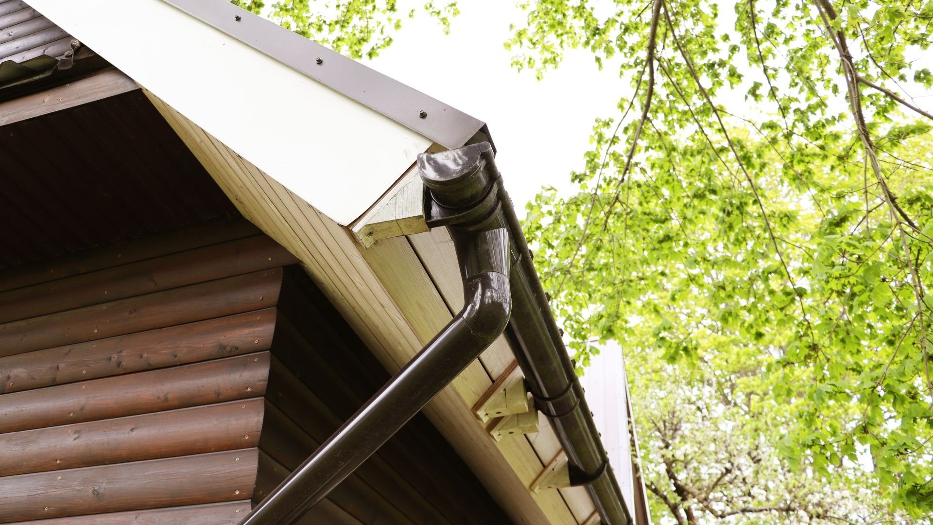 Wooden cabin roof with metal gutter, surrounded by green tree branches
